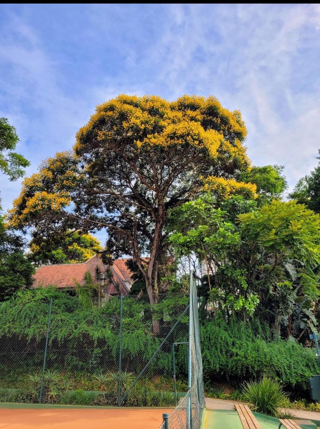 Hotel Granja Brasil Puc 10 2 Itaipava Zewnętrze zdjęcie
